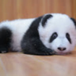 Meet your Posher, Kaya